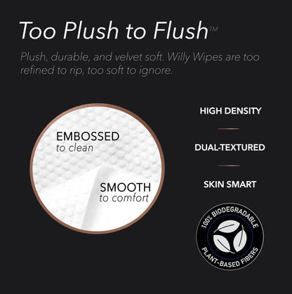 WILLY WIPES, The Royal Scout (Single)